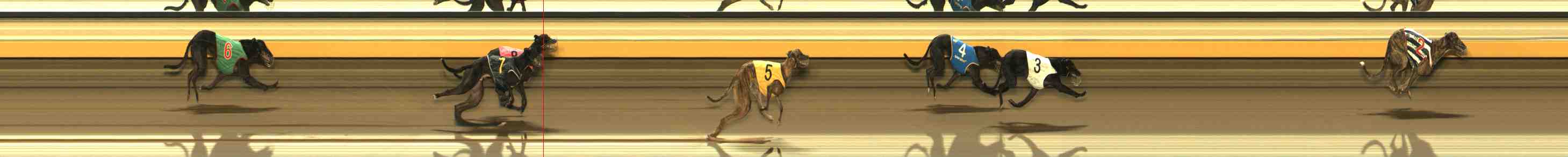 Race result finish photo