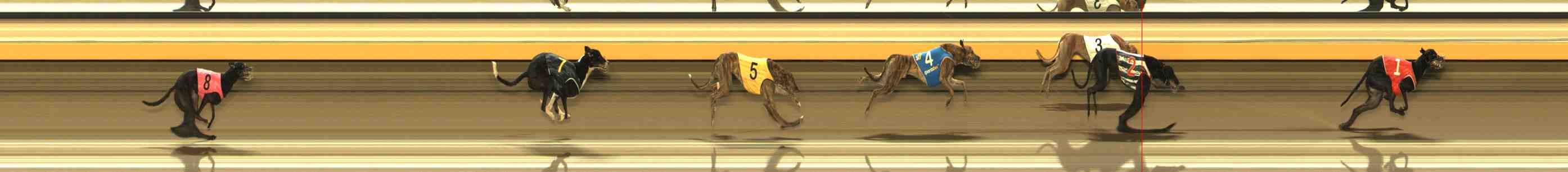 Race result finish photo