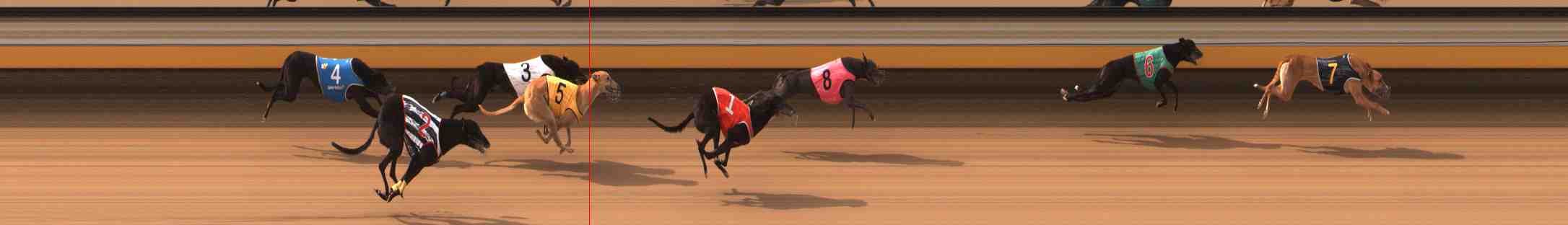 Photo finish for Warrnambool Race 2