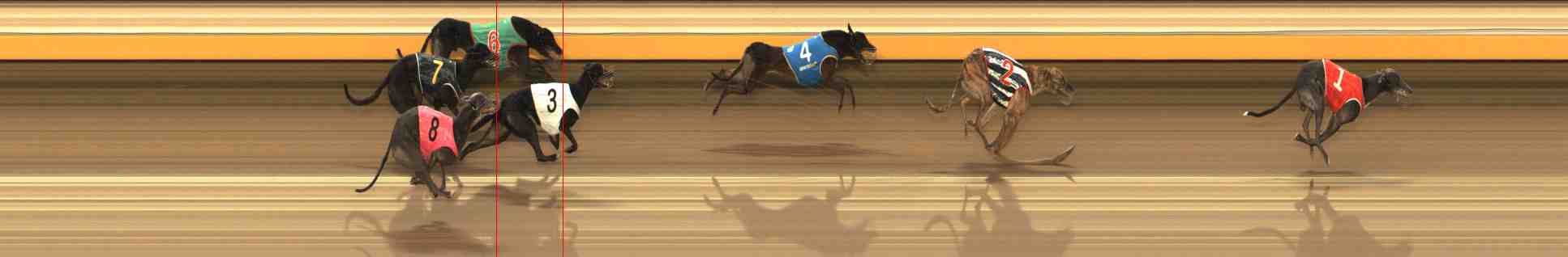 Photo finish for Warrnambool Race 10