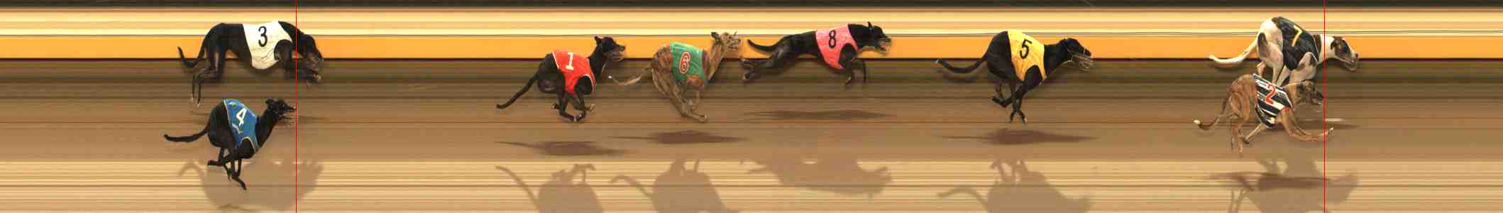 Photo finish for Warrnambool Race 11