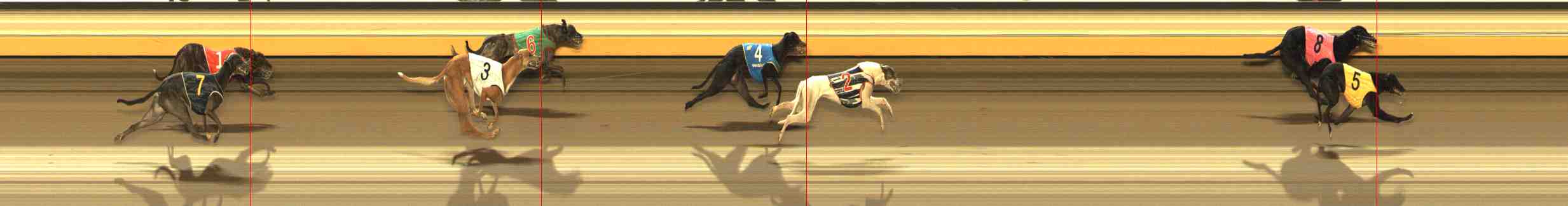 Photo finish for Warrnambool Race 12