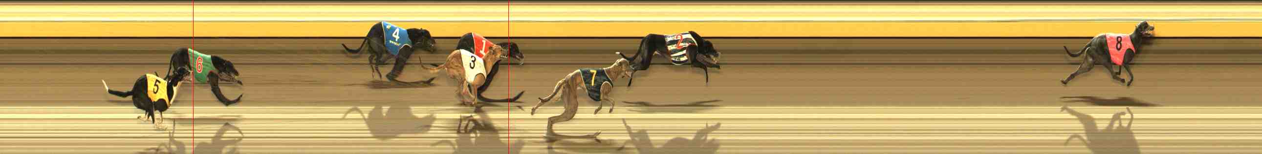 Photo finish for Warrnambool Race 13