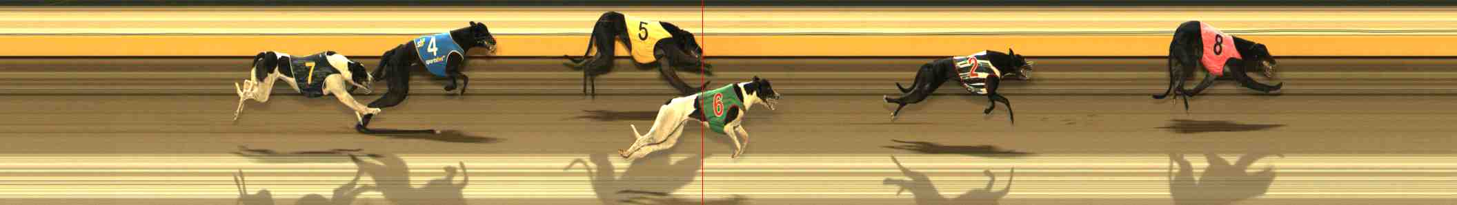 Photo finish for Warrnambool Race 2