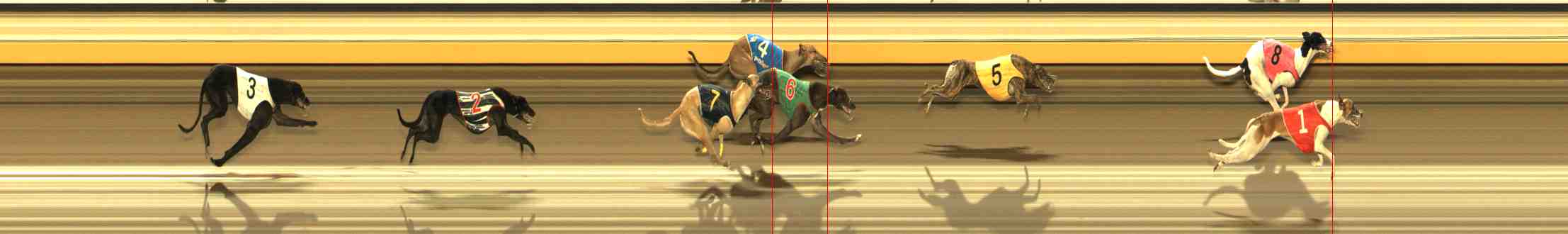 Photo finish for Warrnambool Race 3