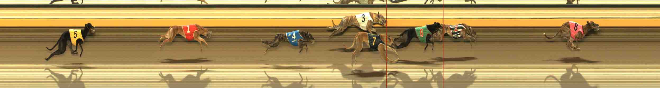Photo finish for Warrnambool Race 4