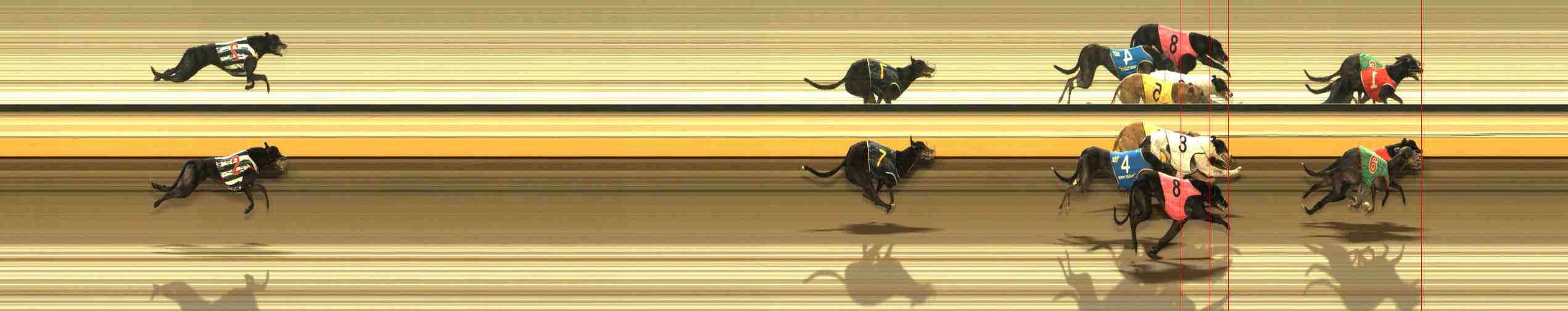 Photo finish for Warrnambool Race 5