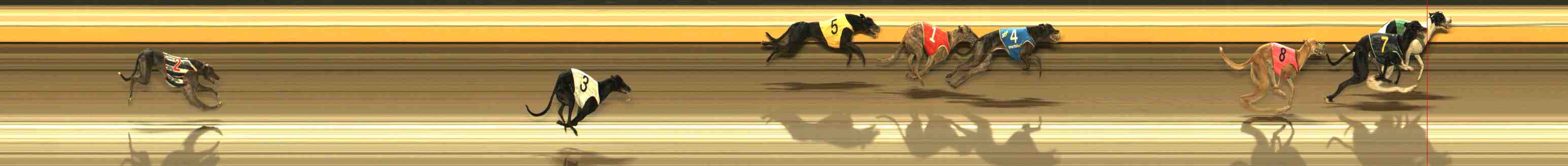 Photo finish for Warrnambool Race 6