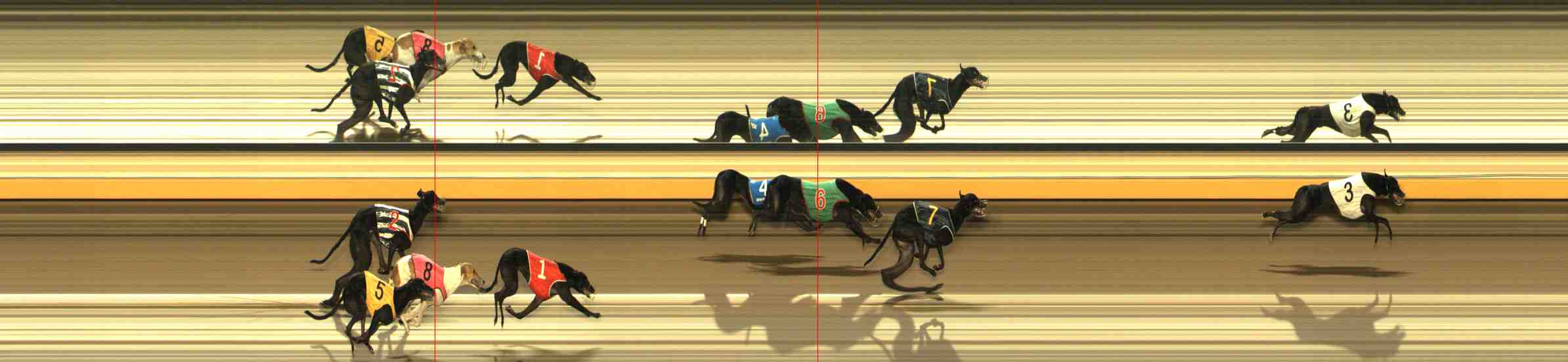 Photo finish for Warrnambool Race 7