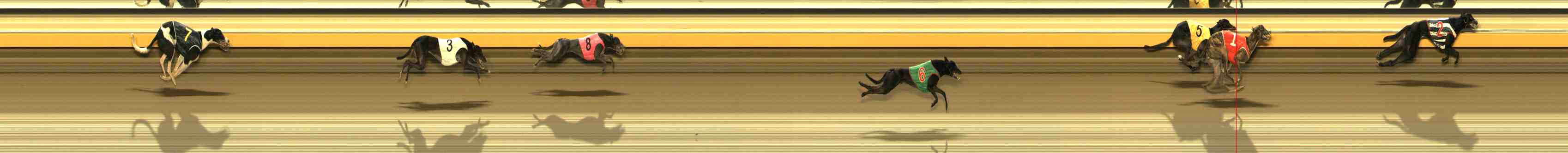 Photo finish for Warrnambool Race 10