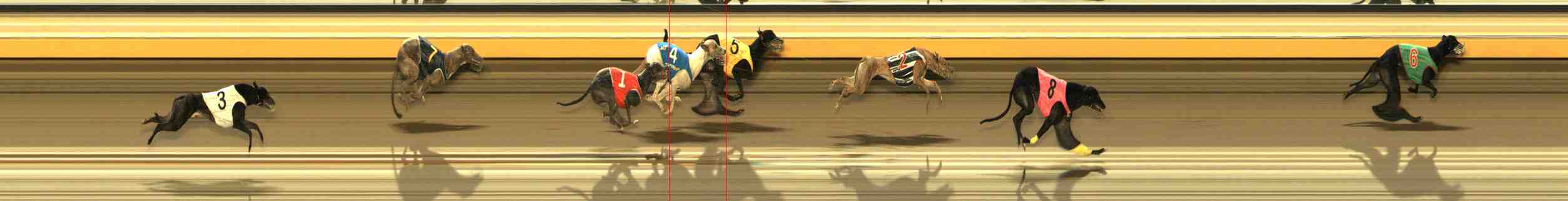 Photo finish for Warrnambool Race 11