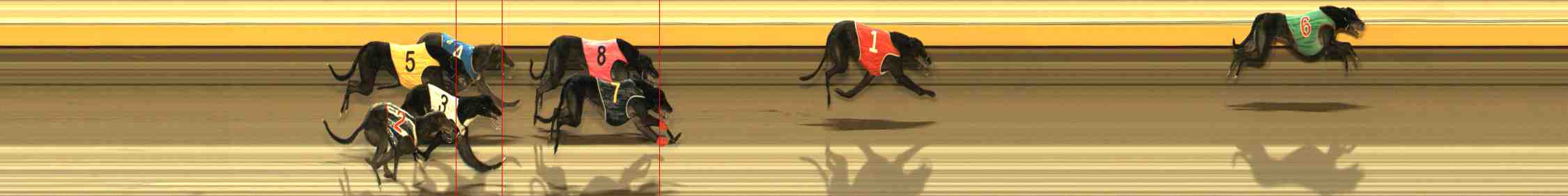 Photo finish for Warrnambool Race 12