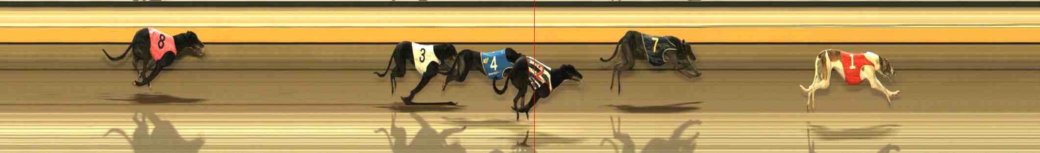 Race result finish photo