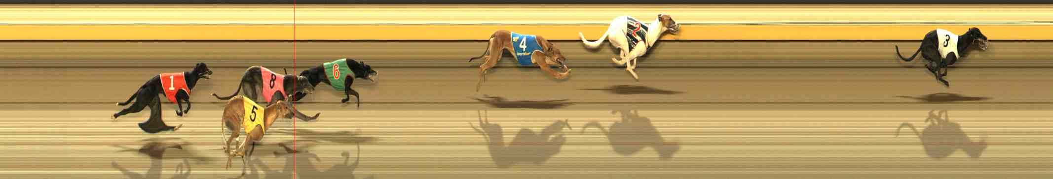 Race result finish photo