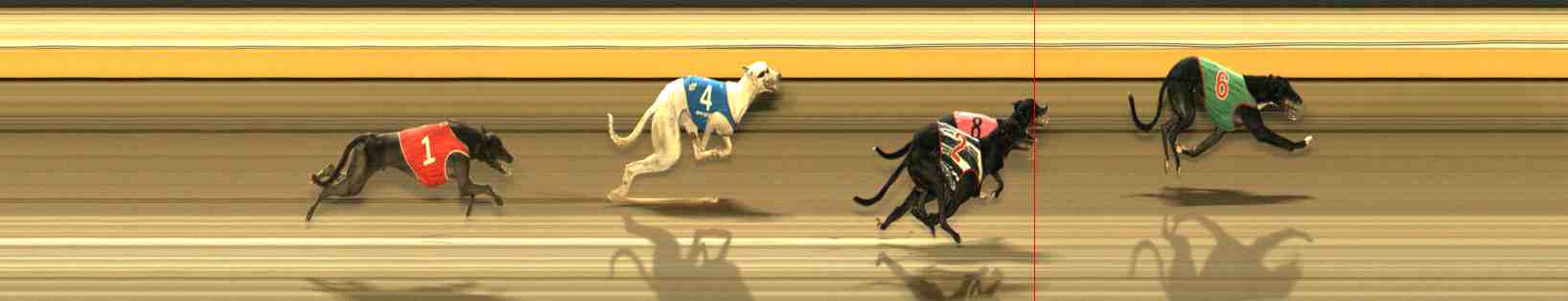 Race result finish photo