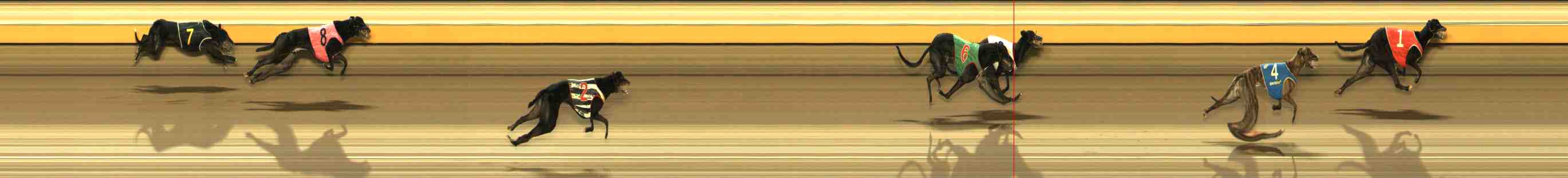 Race result finish photo