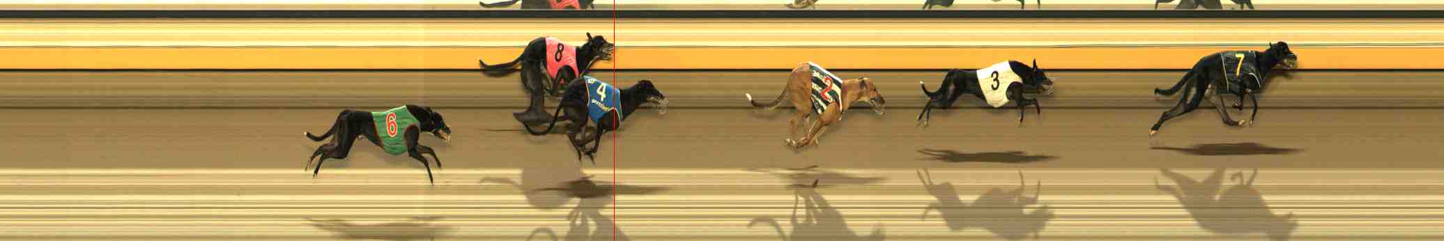 Race result finish photo