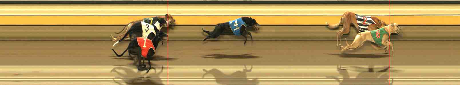 Race result finish photo