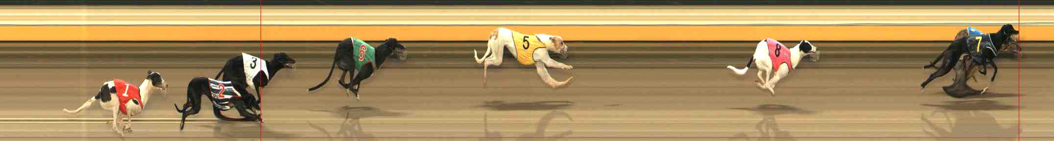 Photo finish for Warrnambool Race 1