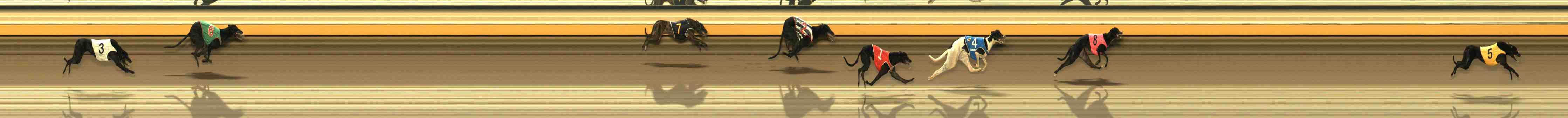 Photo finish for Warrnambool Race 2