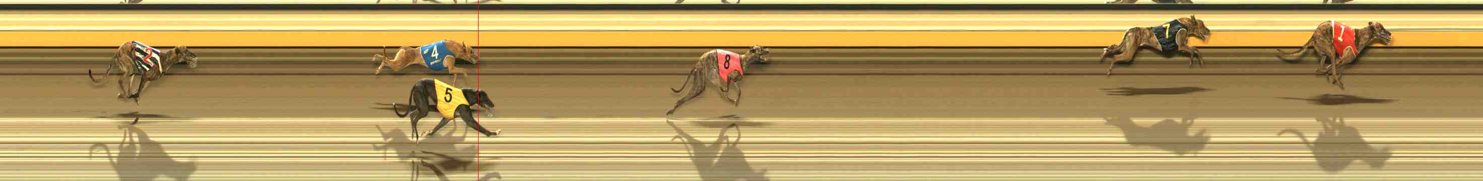 Photo finish for Warrnambool Race 3