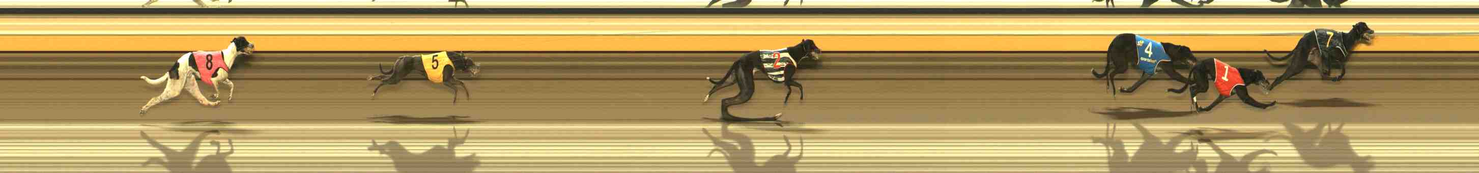 Photo finish for Warrnambool Race 4