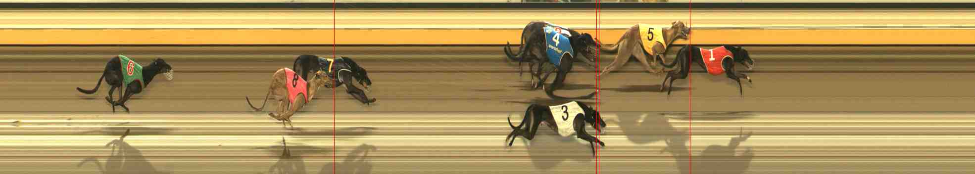 Photo finish for Warrnambool Race 5