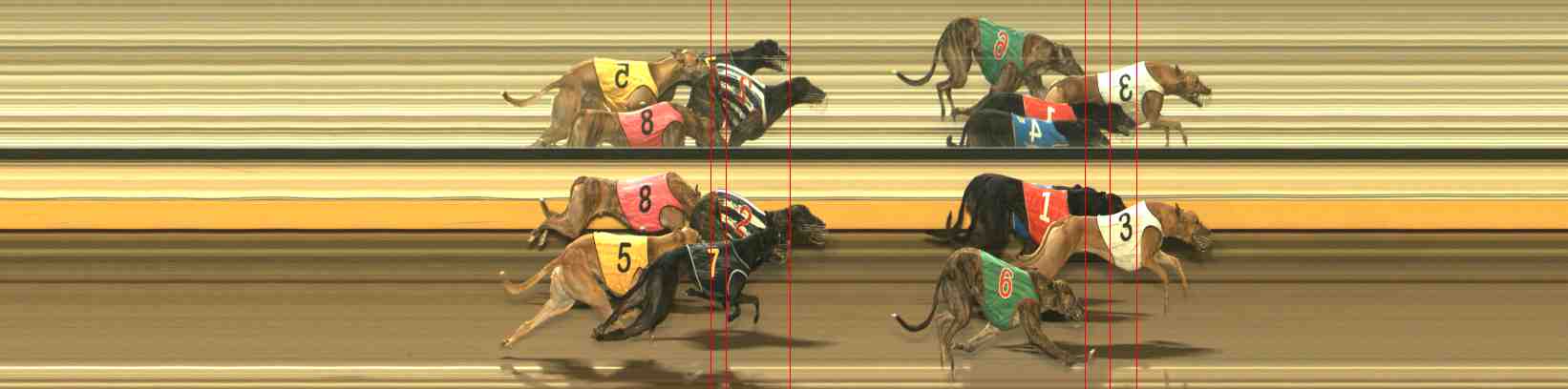 Photo finish for Warrnambool Race 6
