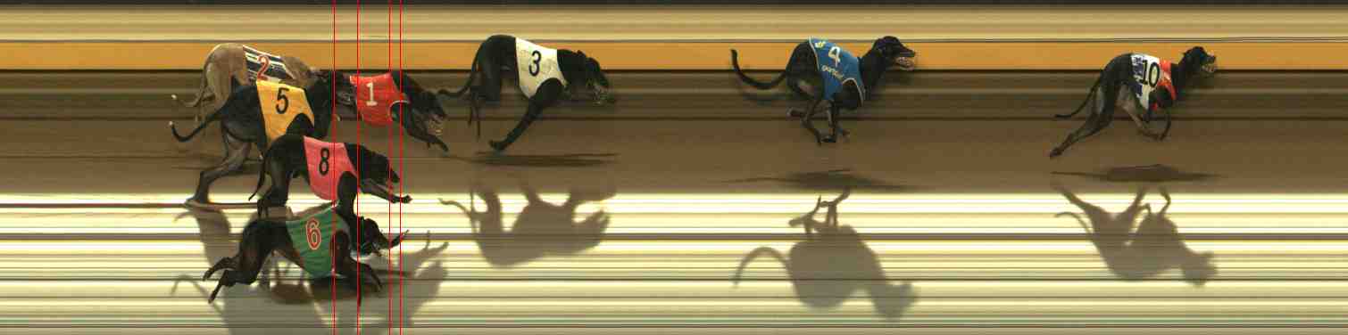 Photo finish for Warrnambool Race 7