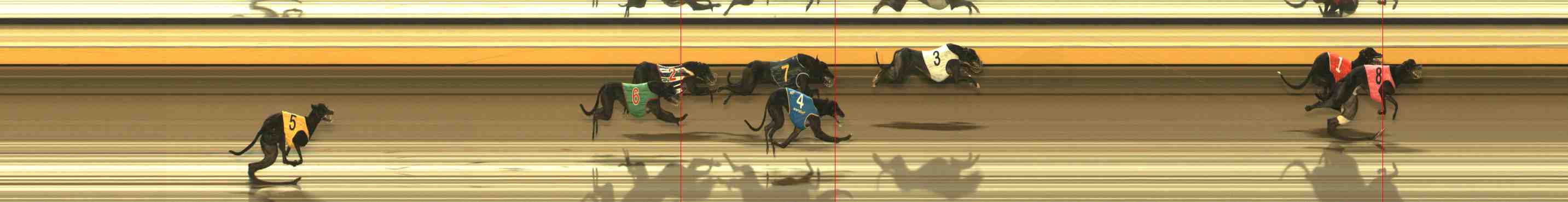 Photo finish for Warrnambool Race 10