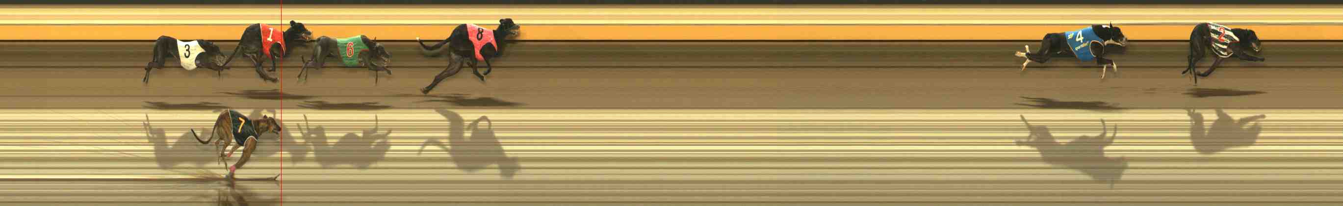 Photo finish for Warrnambool Race 11