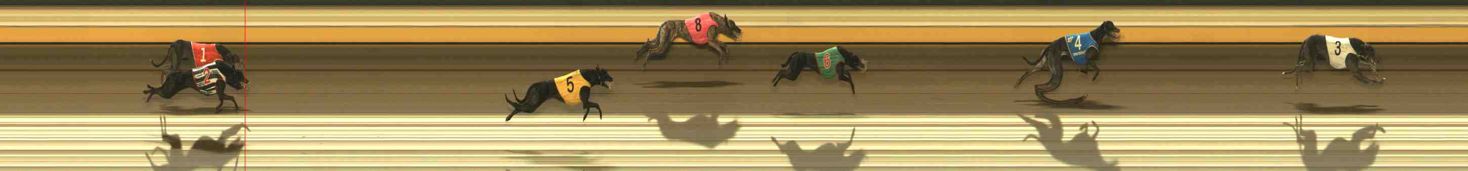 Photo finish for Warrnambool Race 12