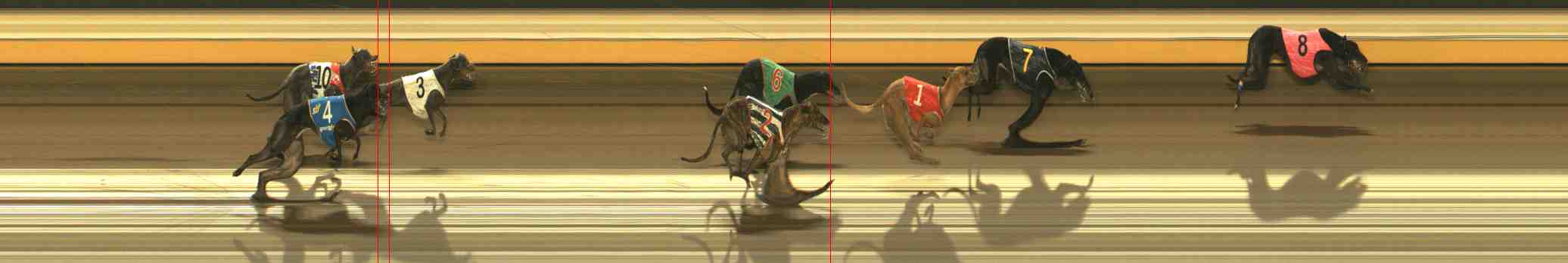 Photo finish for Warrnambool Race 13