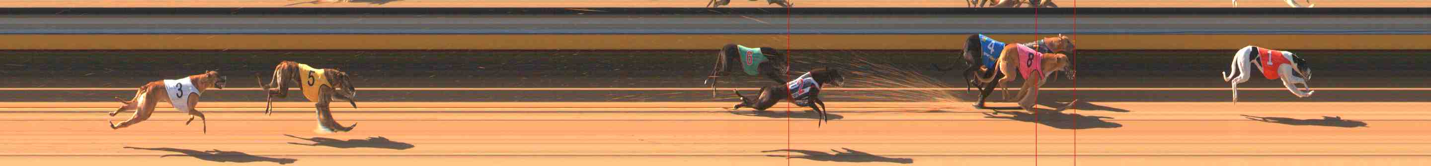 Photo finish for Warrnambool Race 2