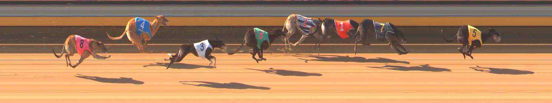 Photo finish for Warrnambool Race 3