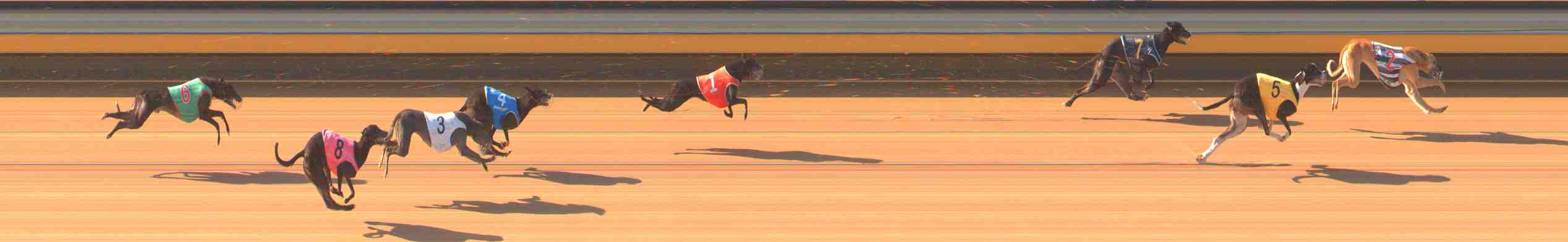 Photo finish for Warrnambool Race 4