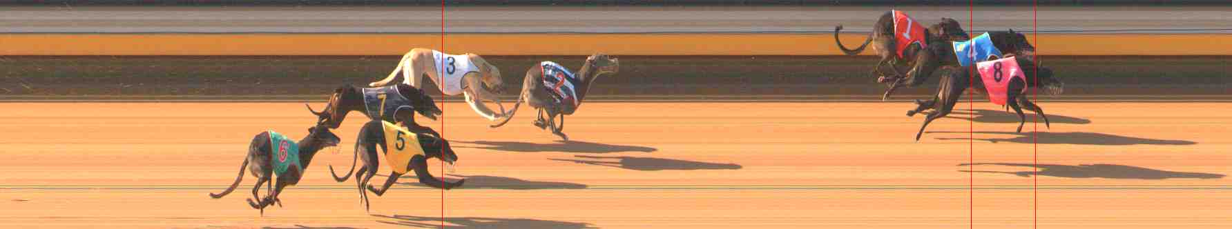 Photo finish for Warrnambool Race 5