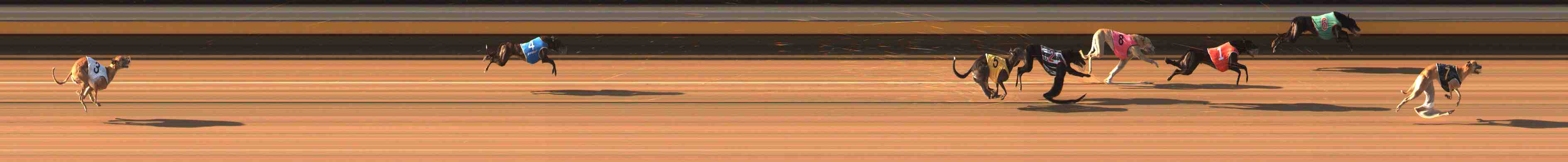 Photo finish for Warrnambool Race 6