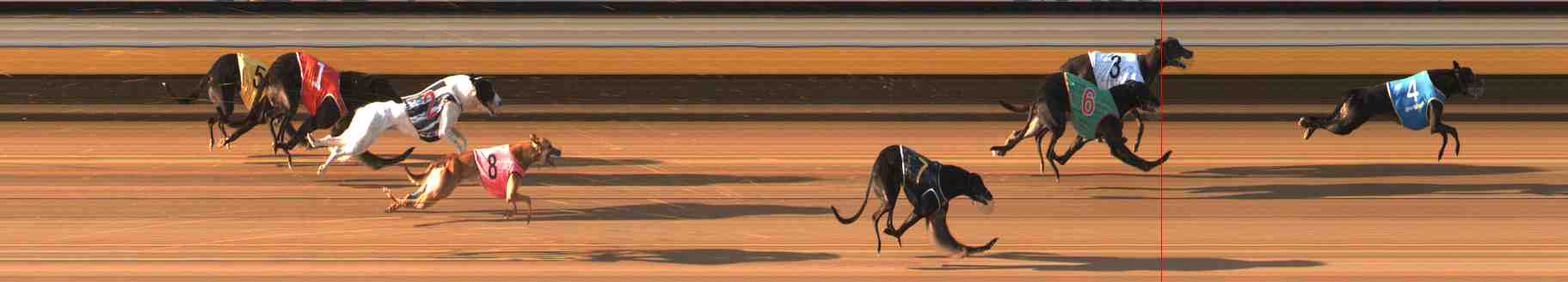 Photo finish for Warrnambool Race 7