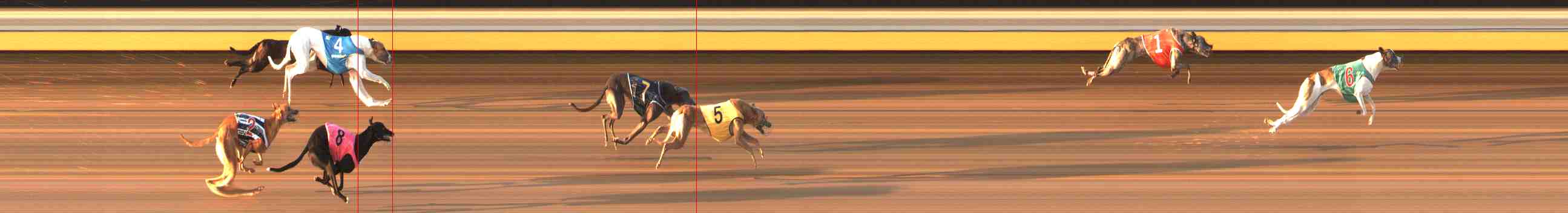 Photo finish for Warrnambool Race 9