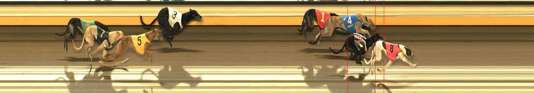 Photo finish for Warrnambool Race 11