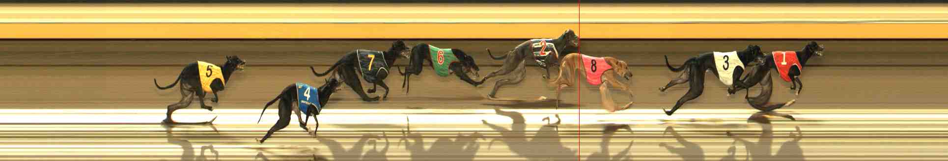 Photo finish for Warrnambool Race 12