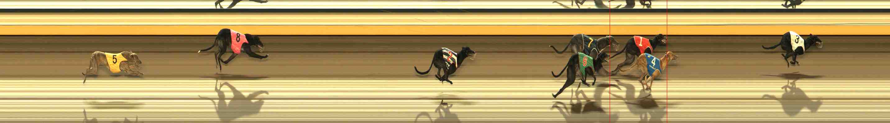 Race result finish photo