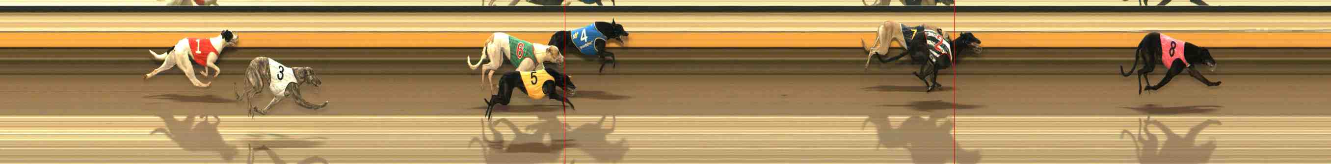 Race result finish photo