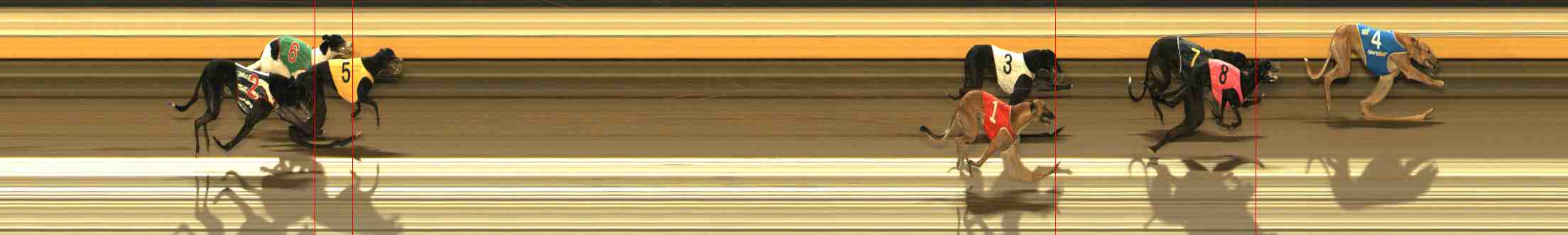 Photo finish for Warrnambool Race 2
