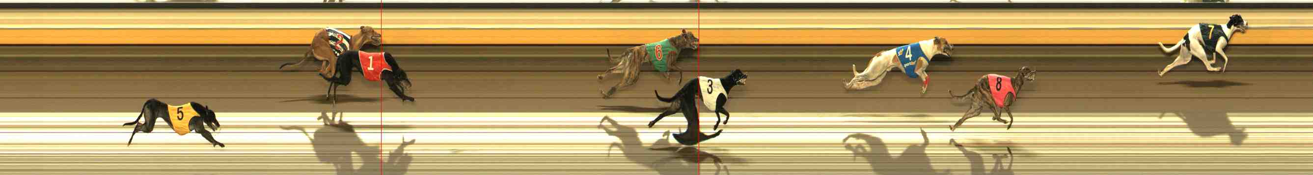 Photo finish for Warrnambool Race 3