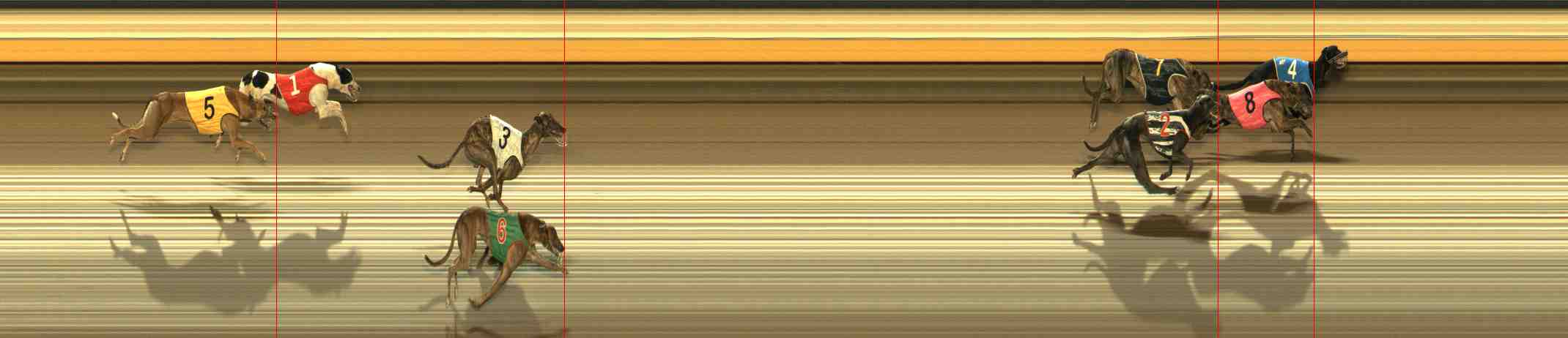 Photo finish for Warrnambool Race 4