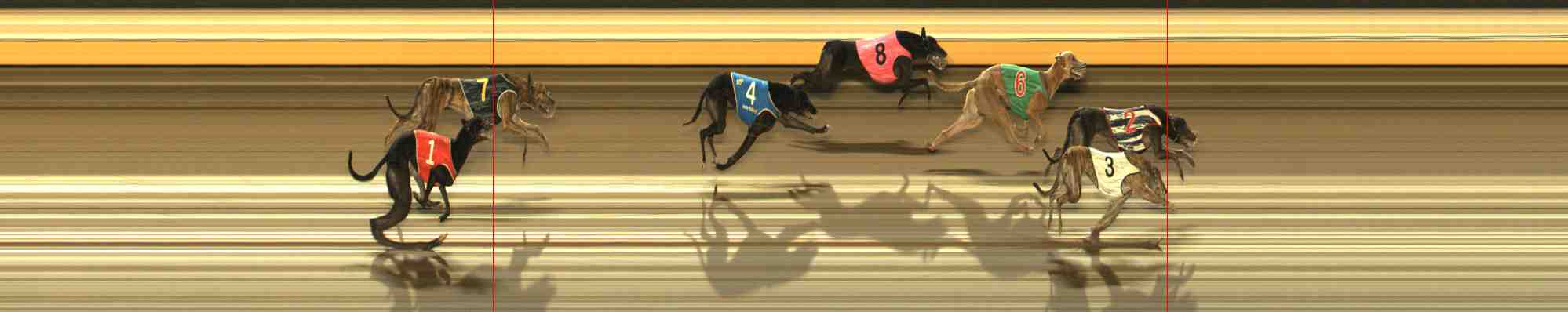 Photo finish for Warrnambool Race 6