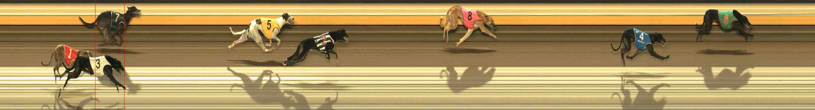 Photo finish for Warrnambool Race 8