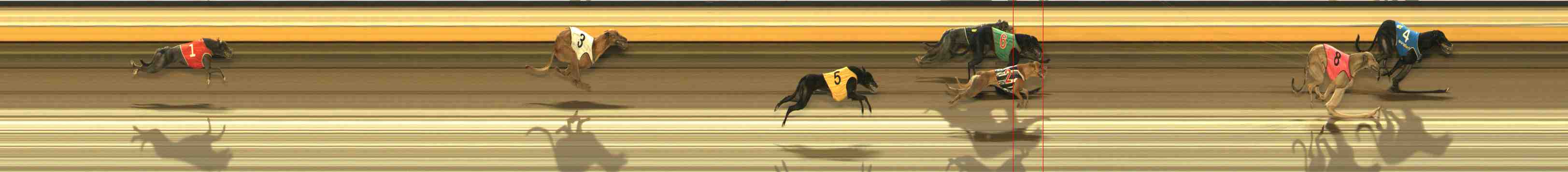 Photo finish for Warrnambool Race 9